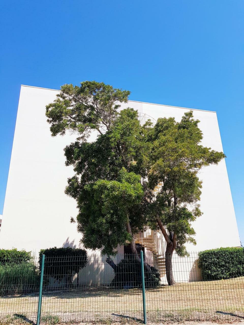 קאנט אן רוסיון Studio Calme Avec Parking Et Ascenseur -304- מראה חיצוני תמונה