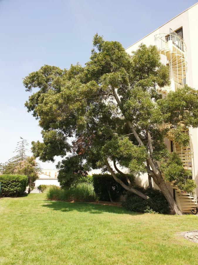 קאנט אן רוסיון Studio Calme Avec Parking Et Ascenseur -304- מראה חיצוני תמונה